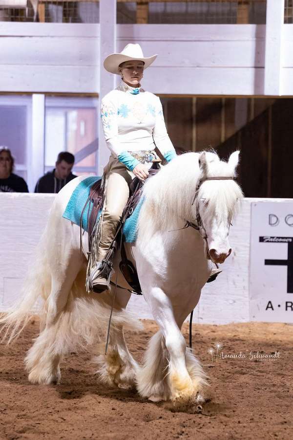 bean-gypsy-vanner-horse