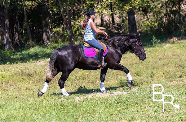 ranch-work-quarter-horse