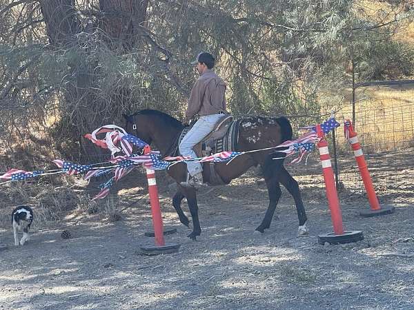 ranch-work-quarter-horse