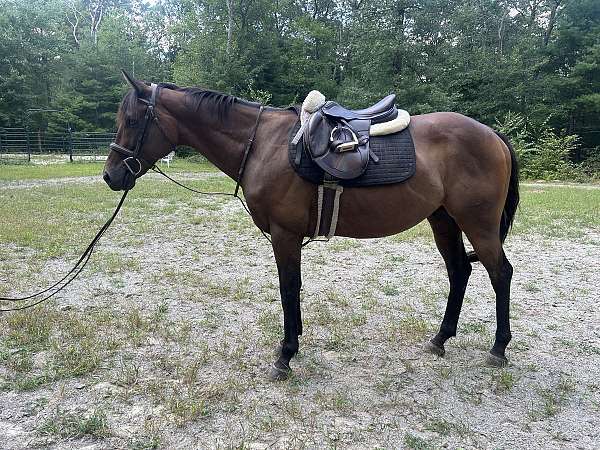 lesson-yearling