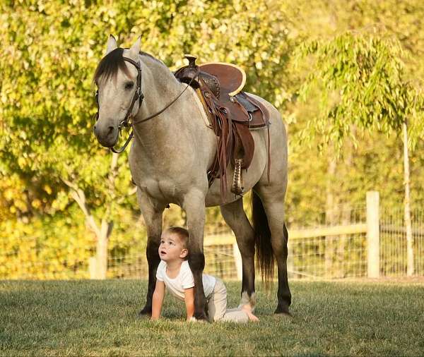 driving-pony