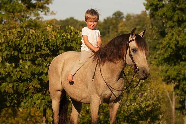 kid-safe-pony