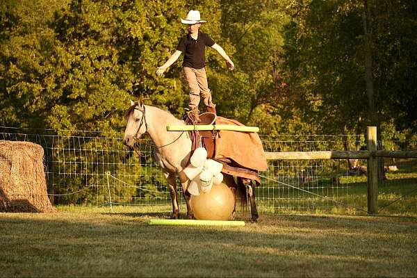 buckskin-athletic-pony