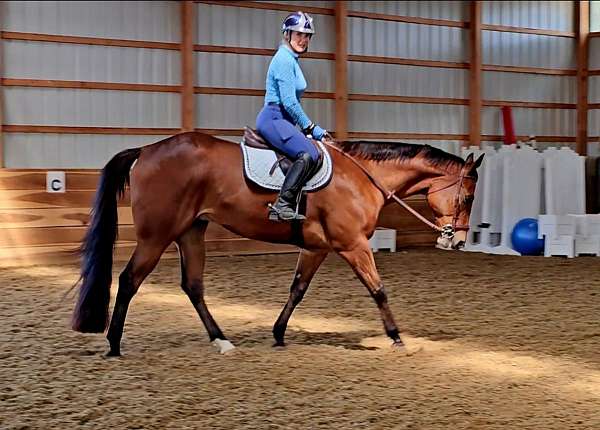 ranch-work-quarter-horse