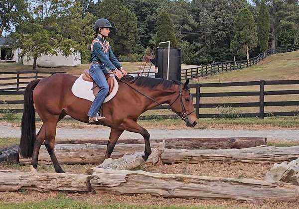 ridden-western-quarter-horse