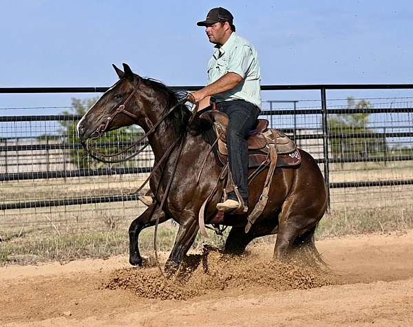 cutting-quarter-horse