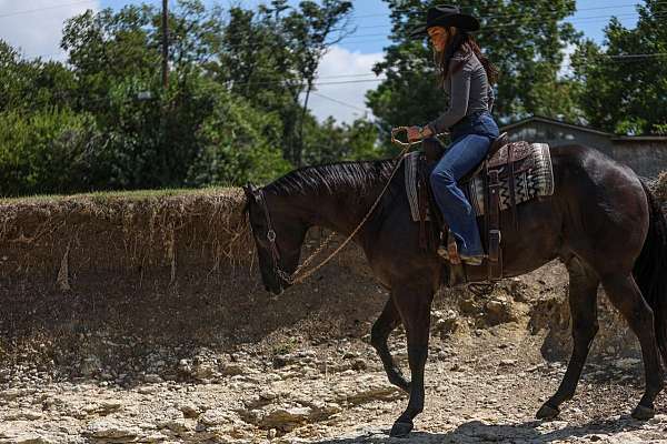 ranch-work-quarter-horse