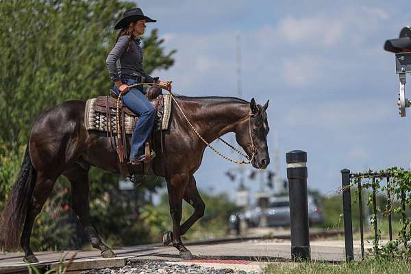 roping-quarter-horse