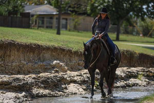 trail-riding-quarter-horse