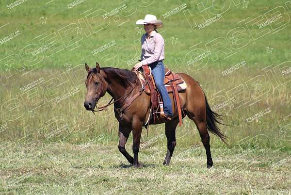 ranch-versatility-quarter-horse