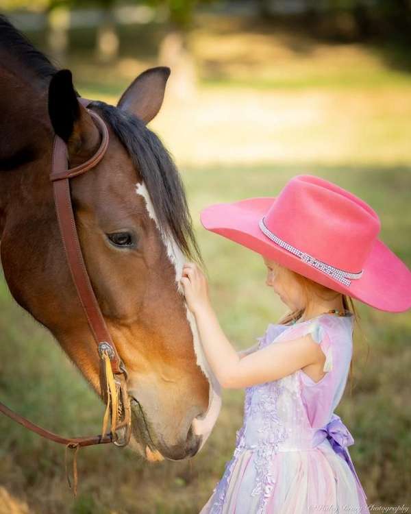 kid-safe-clydesdale-horse