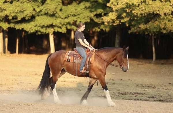 trail-riding-clydesdale-horse