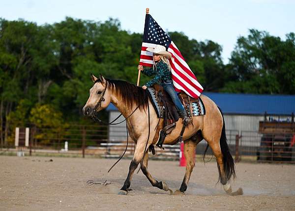 kid-safe-quarter-horse