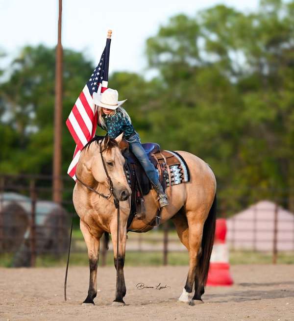 ranch-work-quarter-horse