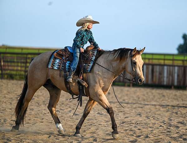 roping-quarter-horse