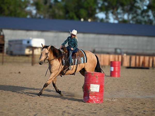 team-penning-quarter-horse