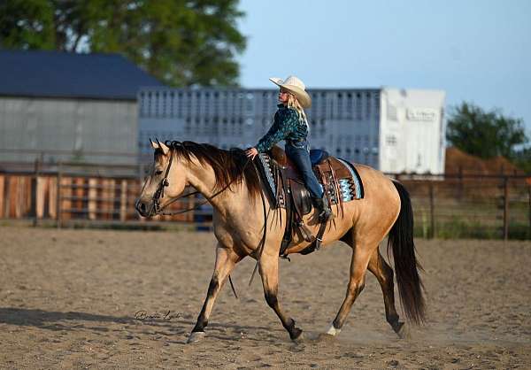 trail-riding-quarter-horse