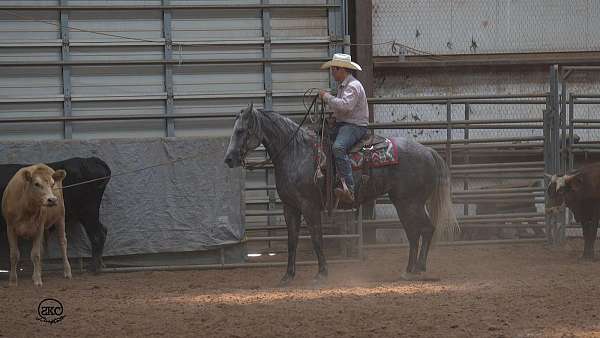 trail-riding-quarter-horse