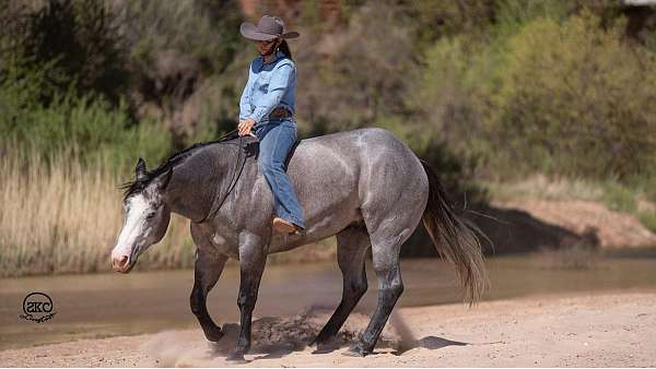 roping-quarter-horse