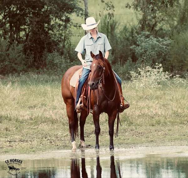 roping-quarter-horse