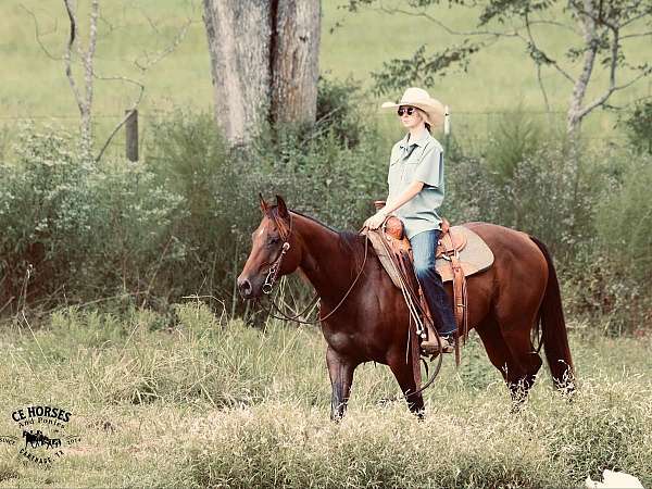 team-penning-quarter-horse