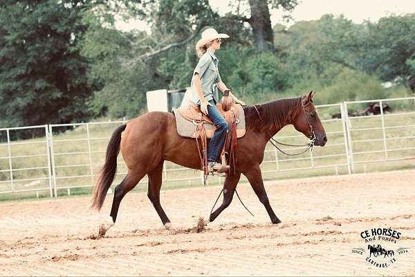 trail-riding-quarter-horse