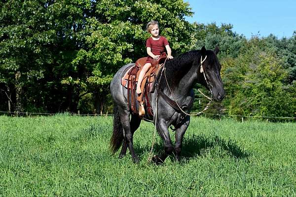 flashy-draft-horse