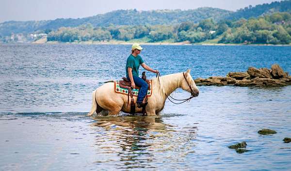 ranch-work-quarter-horse