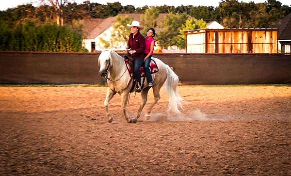 roping-quarter-horse