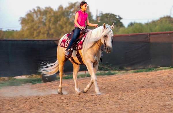 western-riding-quarter-horse