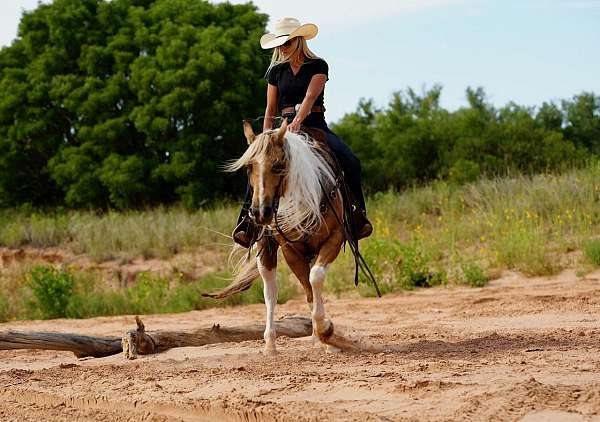 ranch-work-paint-horse