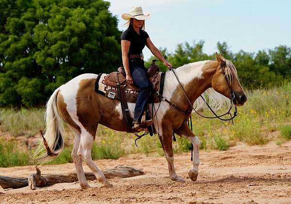 trail-riding-paint-horse