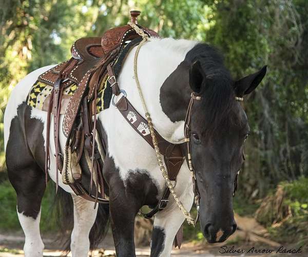 ranch-work-draft-horse