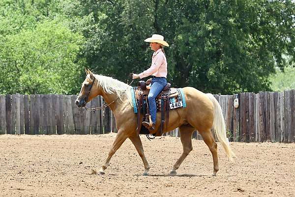 ranch-versatility-quarter-horse