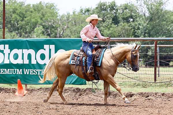 ranch-work-quarter-horse