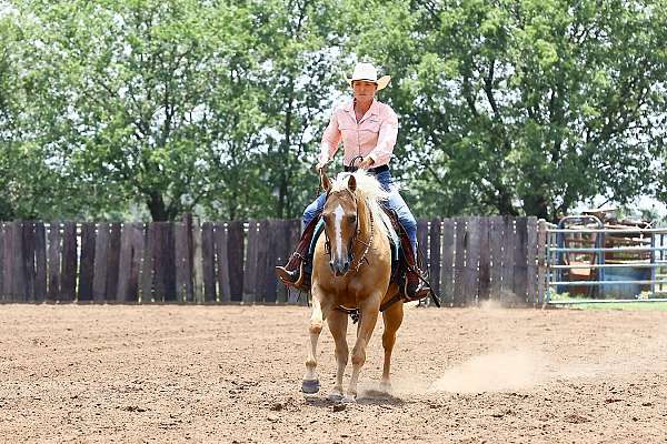 reining-quarter-horse