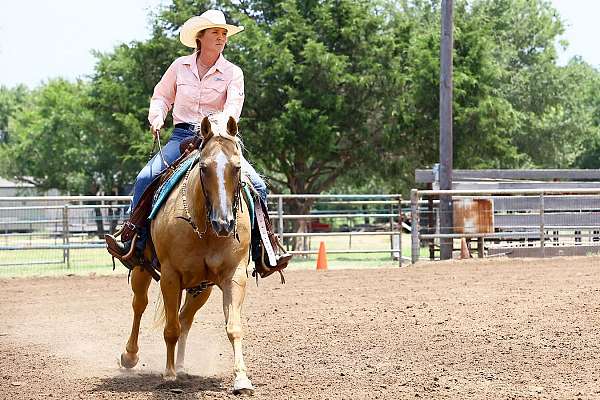 rodeo-quarter-horse