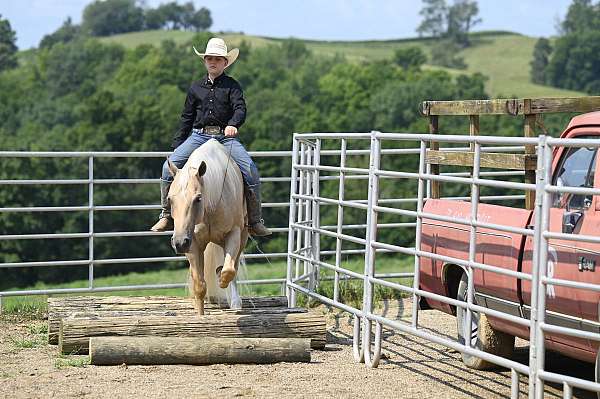 ranch-versatility-quarter-horse