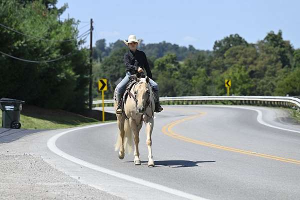 youth-quarter-horse