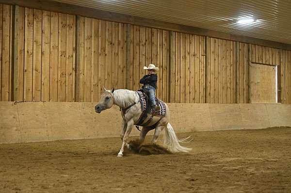 trail-riding-quarter-horse