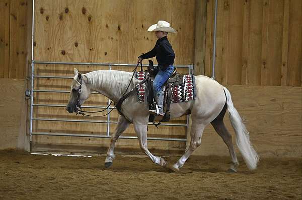 palomino-ranch-versatility-horse