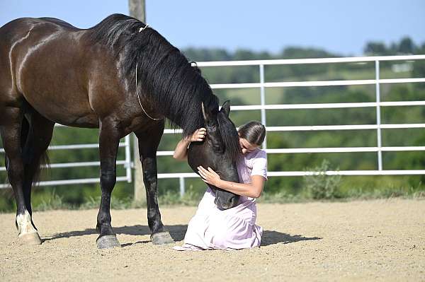 black-husband-safe-horse