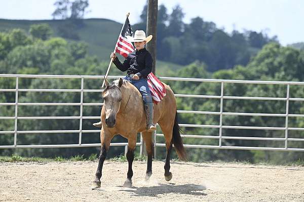 jumping-quarter-horse