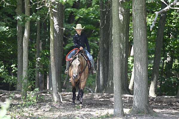 ranch-quarter-horse