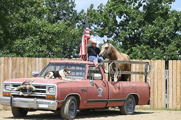 trail-riding-quarter-horse