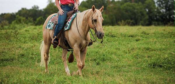 horsemanship-quarter-horse