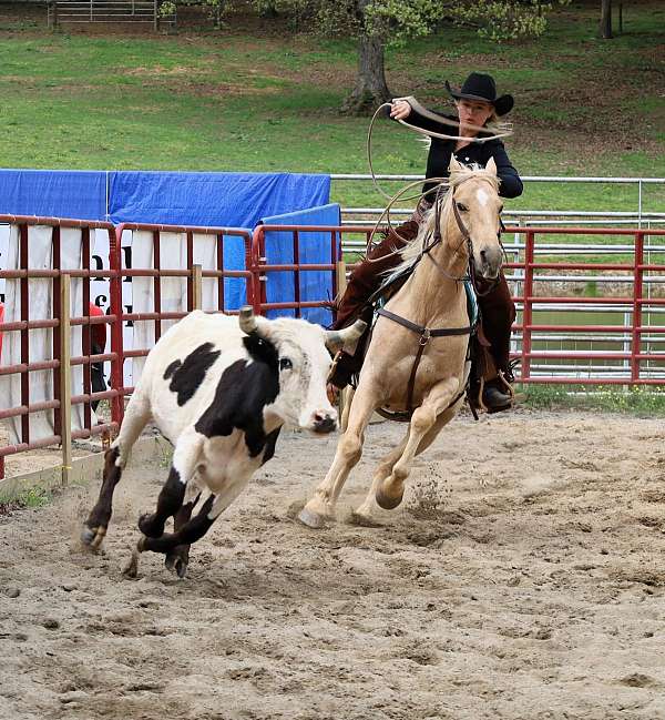 penning-quarter-horse