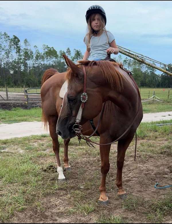 roping-ridgling