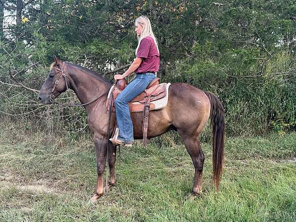 flashy-quarter-horse