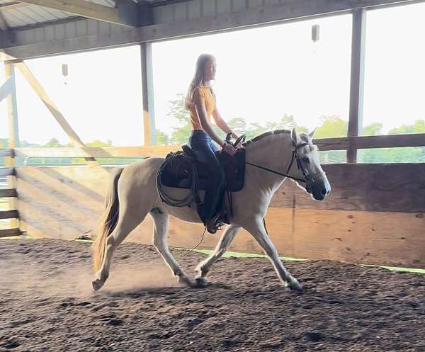 dun-white-gelding-for-sale